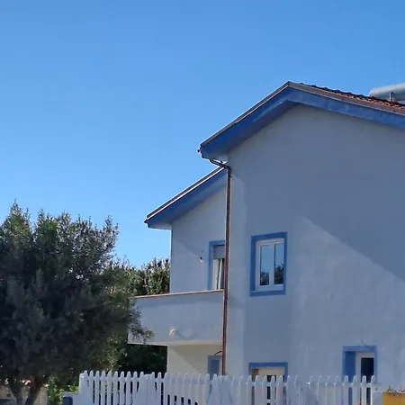 I Sette Ulivi Tergu