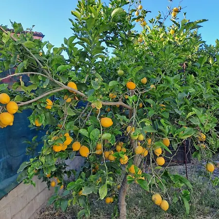 Bed & Breakfast I Sette Ulivi