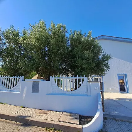 Bed & Breakfast I Sette Ulivi Tergu